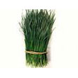 Chinese_chives.jpg