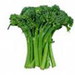 broccolini.jpg