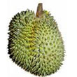 durian.jpg