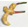green_ginger.jpg