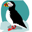 puffin.jpg