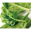 spinach.jpg