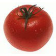 tomato.jpg