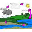 water_cycle.jpg
